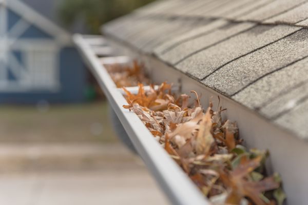 Leaf Barrier Installation in Hartwell